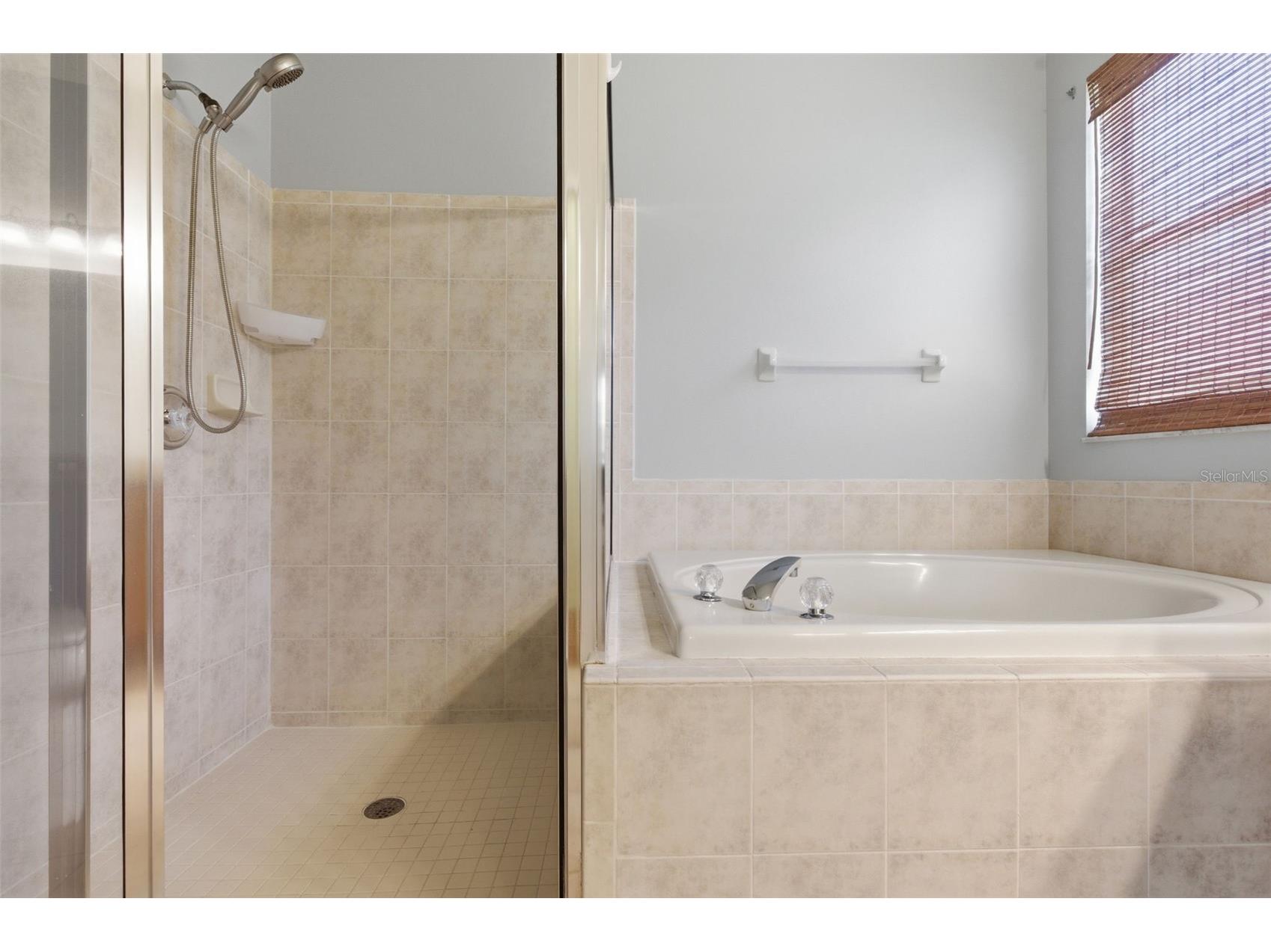 14330 Moon Flower Drive Tampa FL 33626 TB8509405 image43