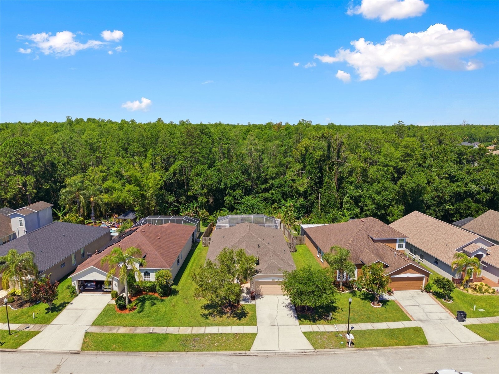 14330 Moon Flower Drive Tampa FL 33626 TB8509405 image50