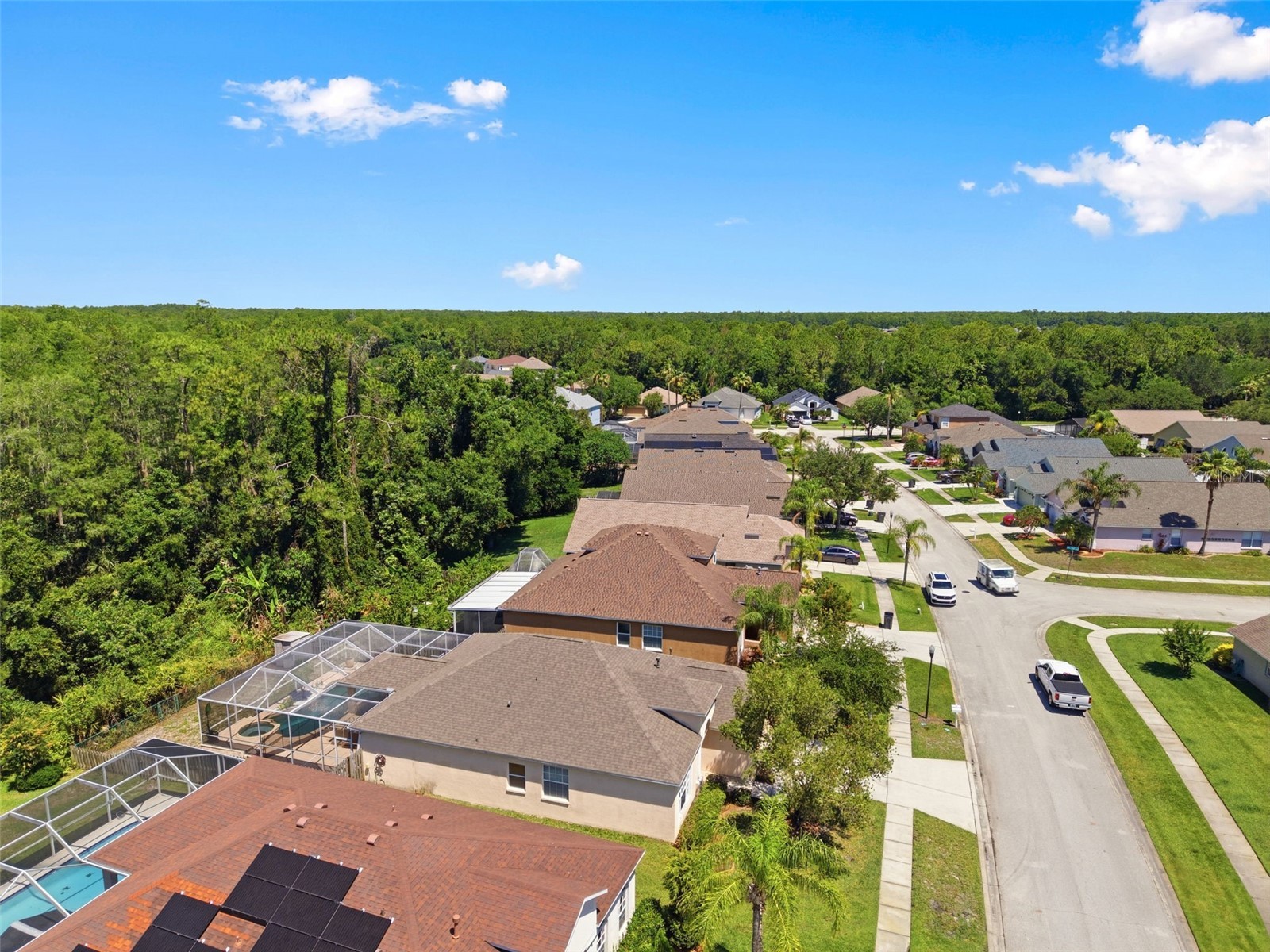 14330 Moon Flower Drive Tampa FL 33626 TB8509405 image51