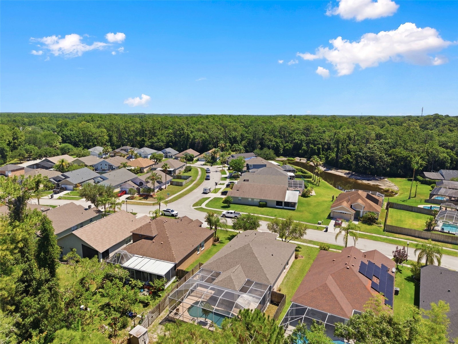 14330 Moon Flower Drive Tampa FL 33626 TB8509405 image53