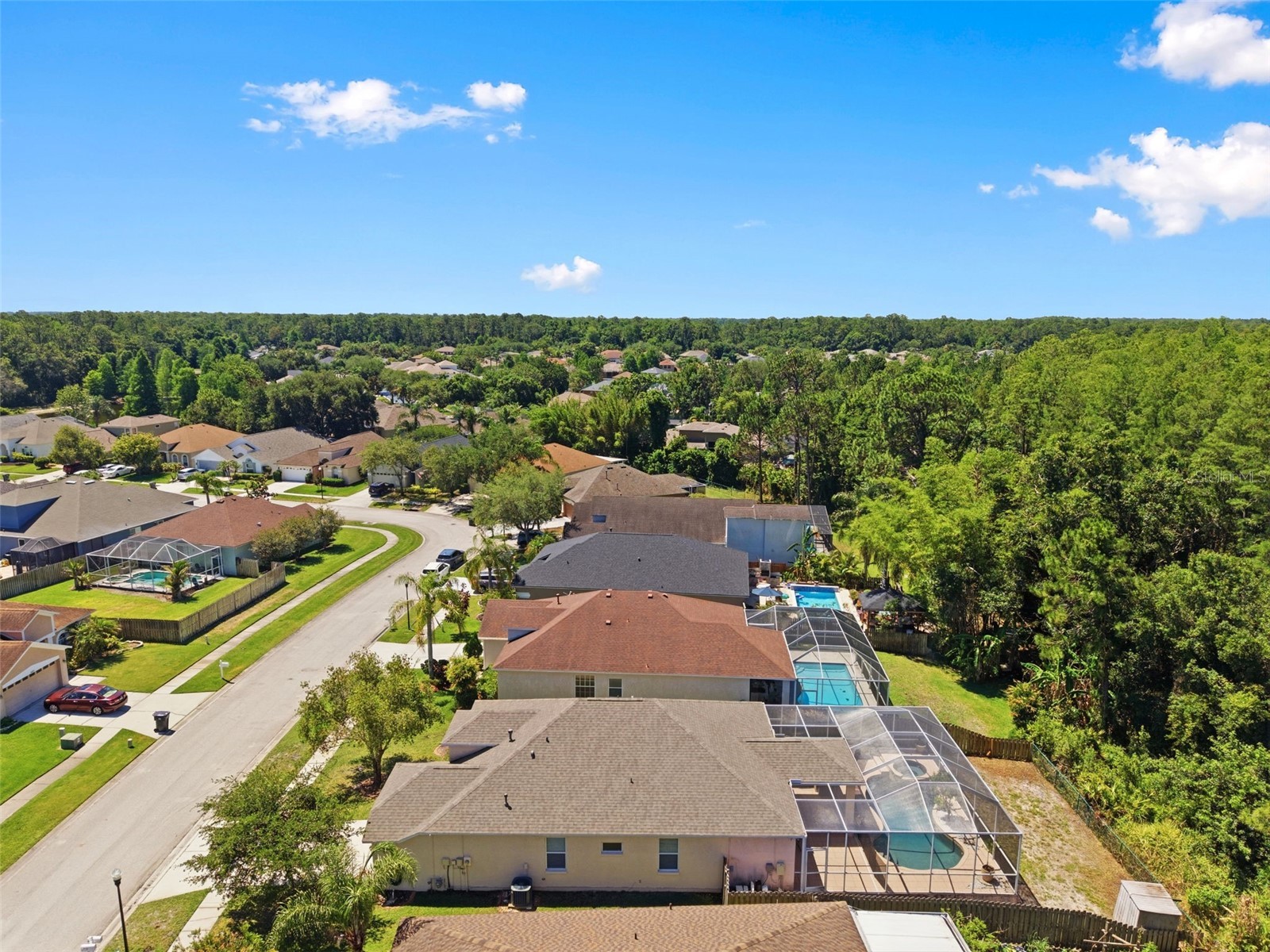 14330 Moon Flower Drive Tampa FL 33626 TB8509405 image54