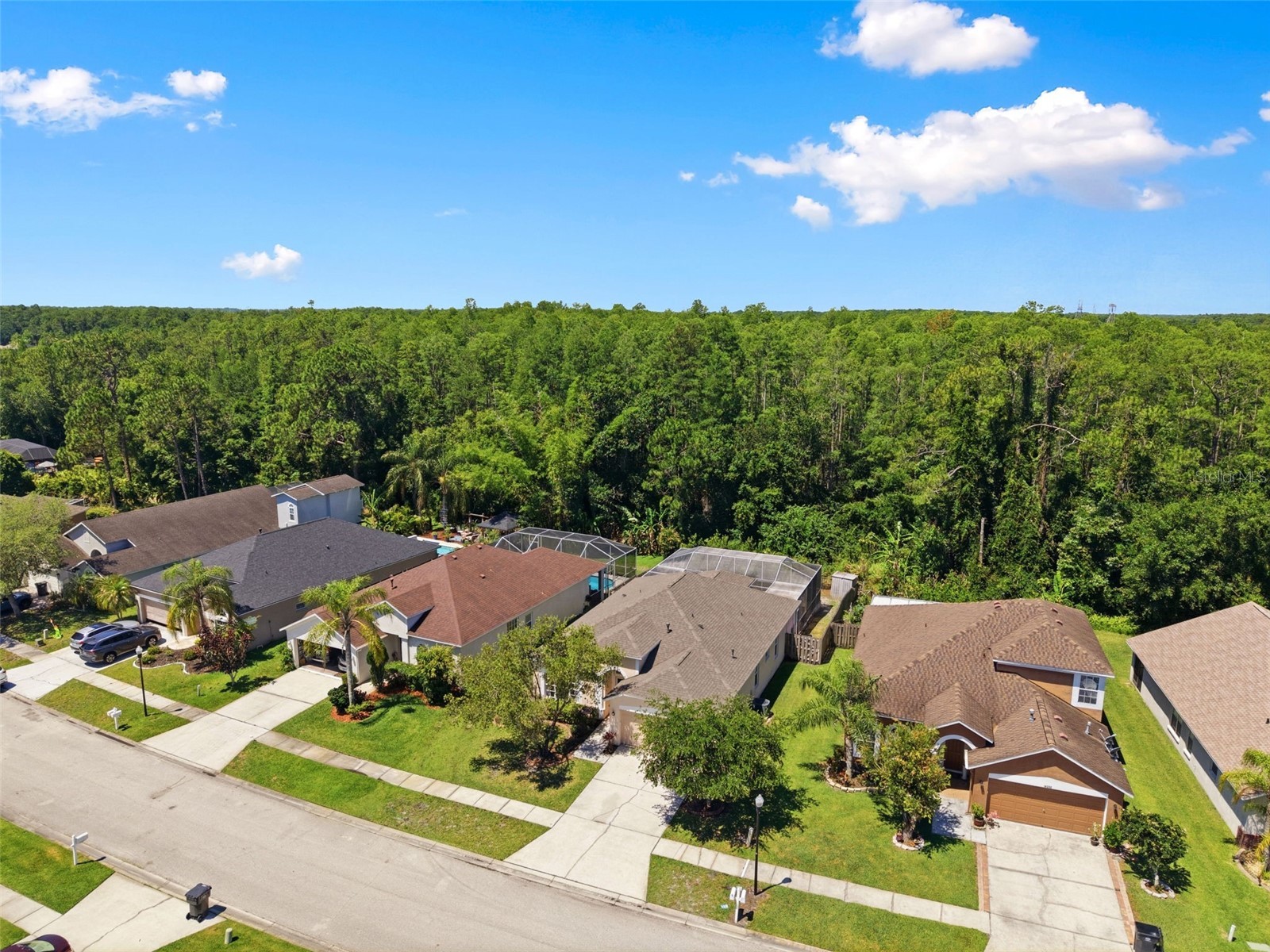 14330 Moon Flower Drive Tampa FL 33626 TB8509405 image55