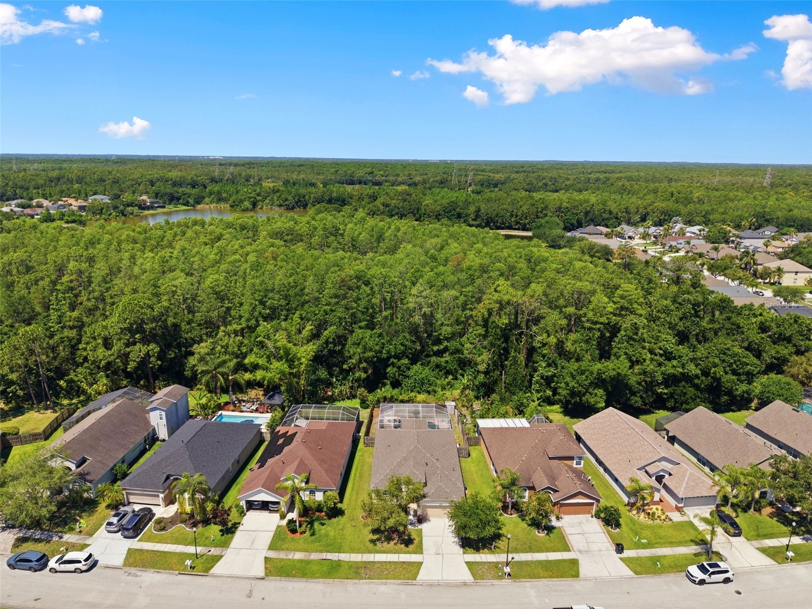 14330 Moon Flower Drive Tampa FL 33626 TB8509405 image56
