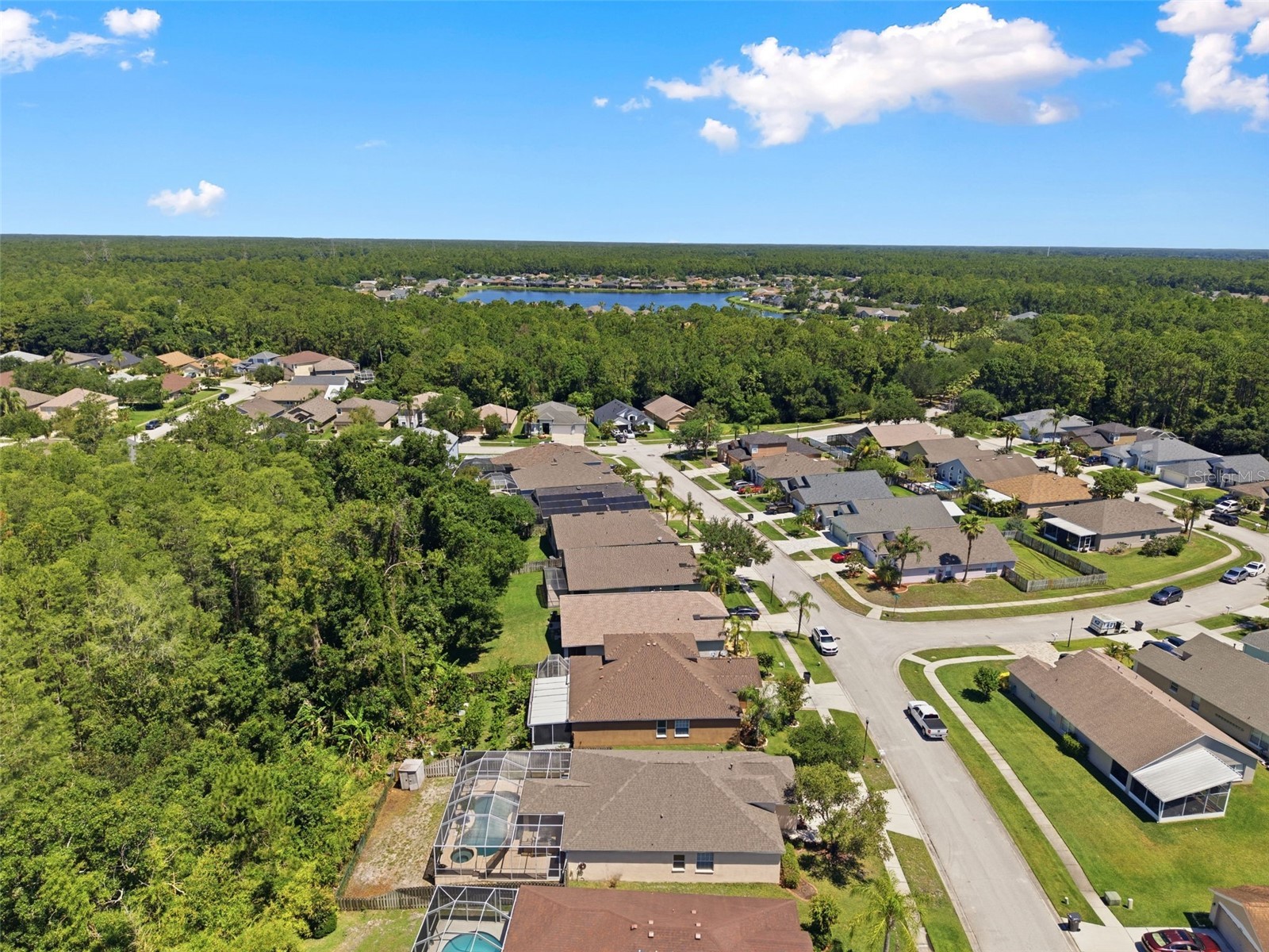 14330 Moon Flower Drive Tampa FL 33626 TB8509405 image57