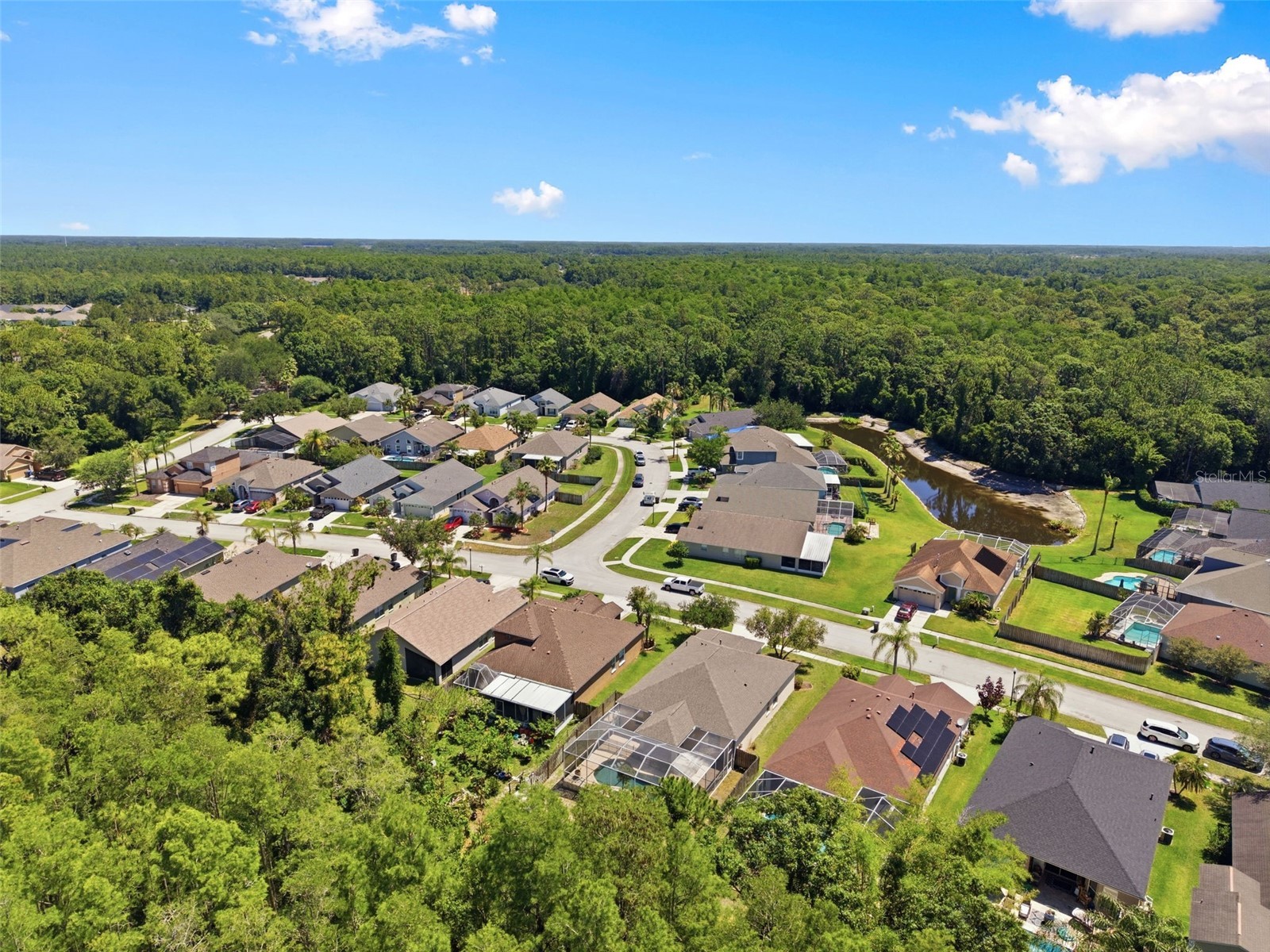 14330 Moon Flower Drive Tampa FL 33626 TB8509405 image58