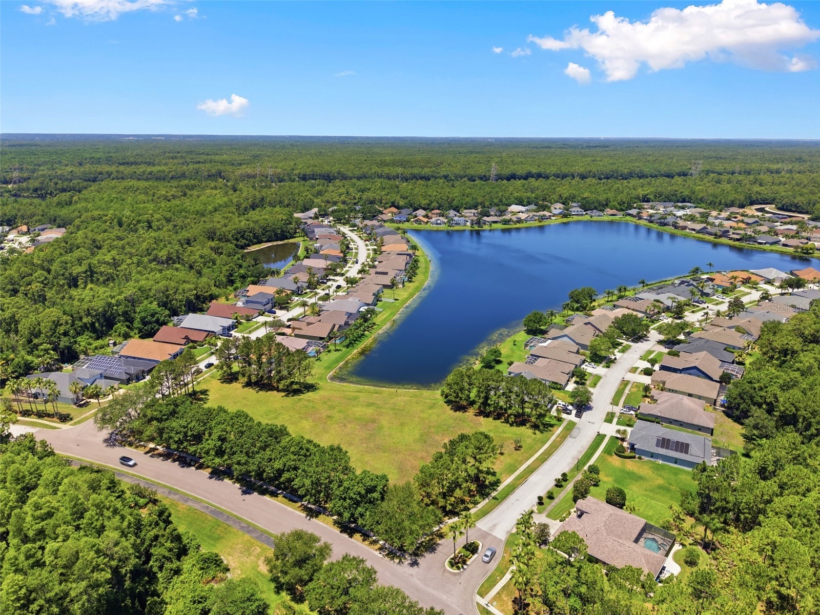 14330 Moon Flower Drive Tampa FL 33626 TB8509405 image64