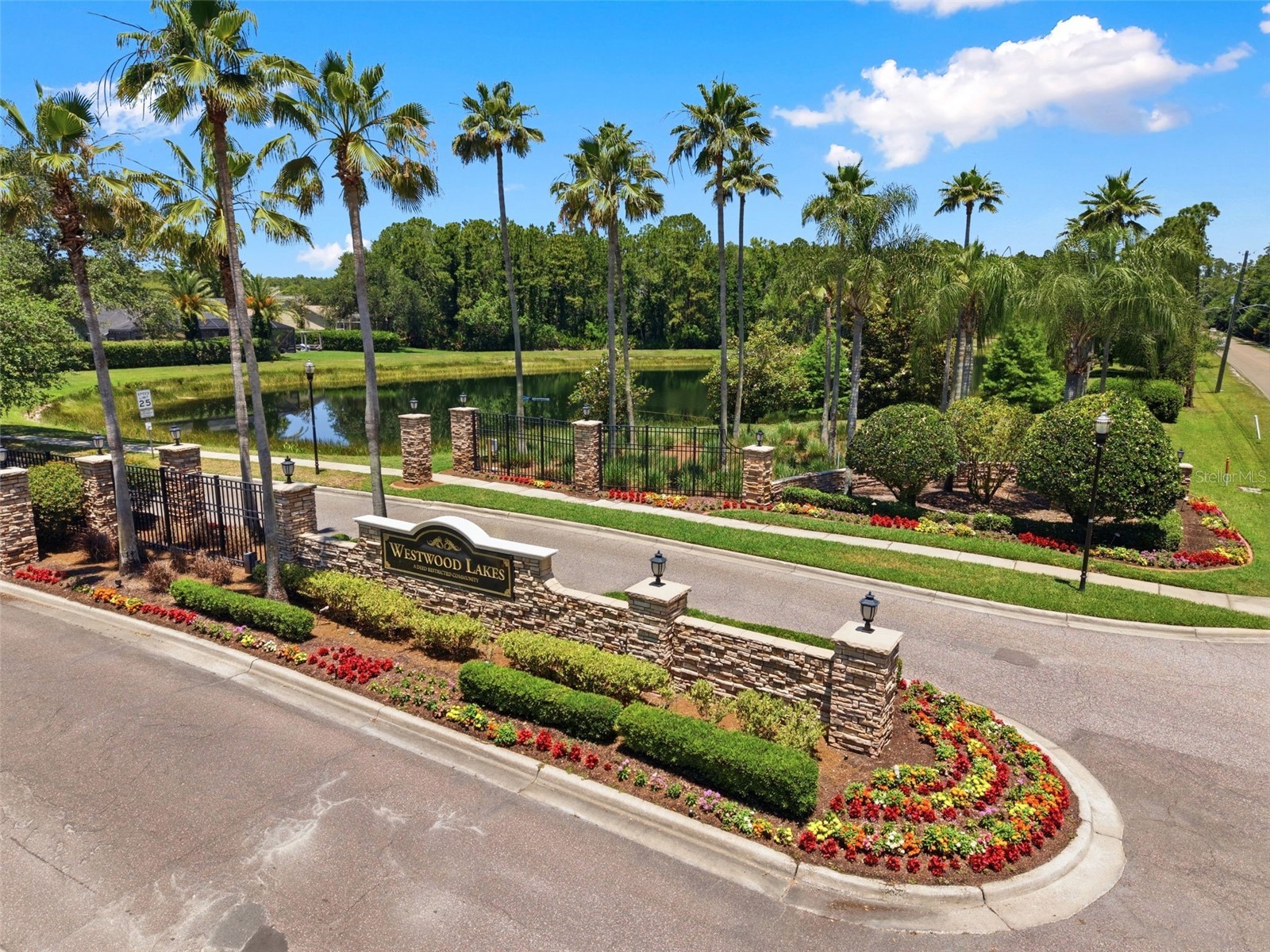 14330 Moon Flower Drive Tampa FL 33626 TB8509405 image7