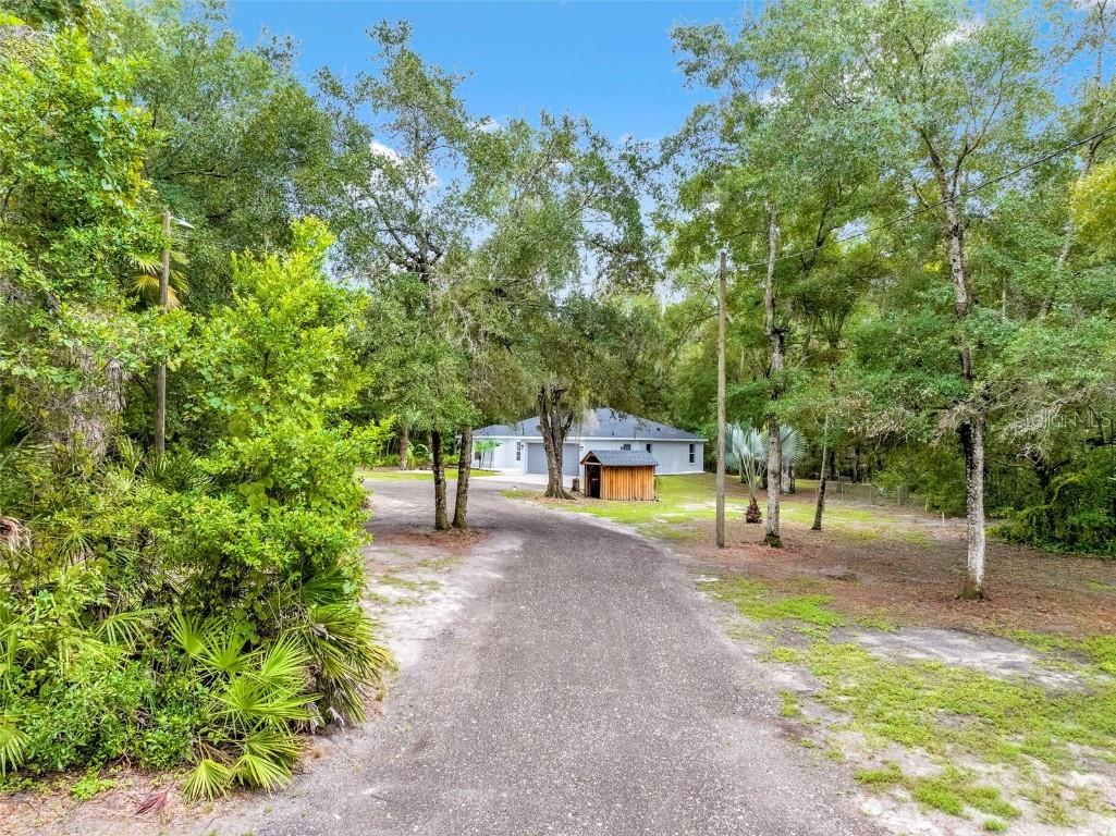 14332 Sorrel Street Brooksville FL 34614 TB8419984 image1