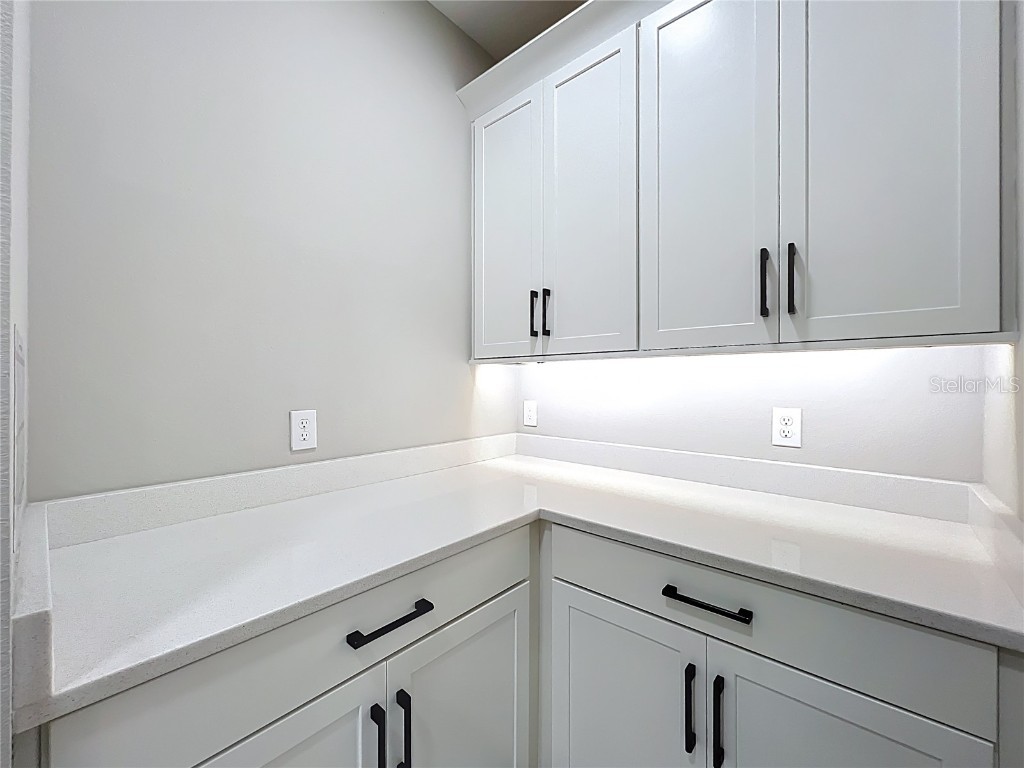 14334 Braemar Street Winter Garden FL 34787 S5135696 image20