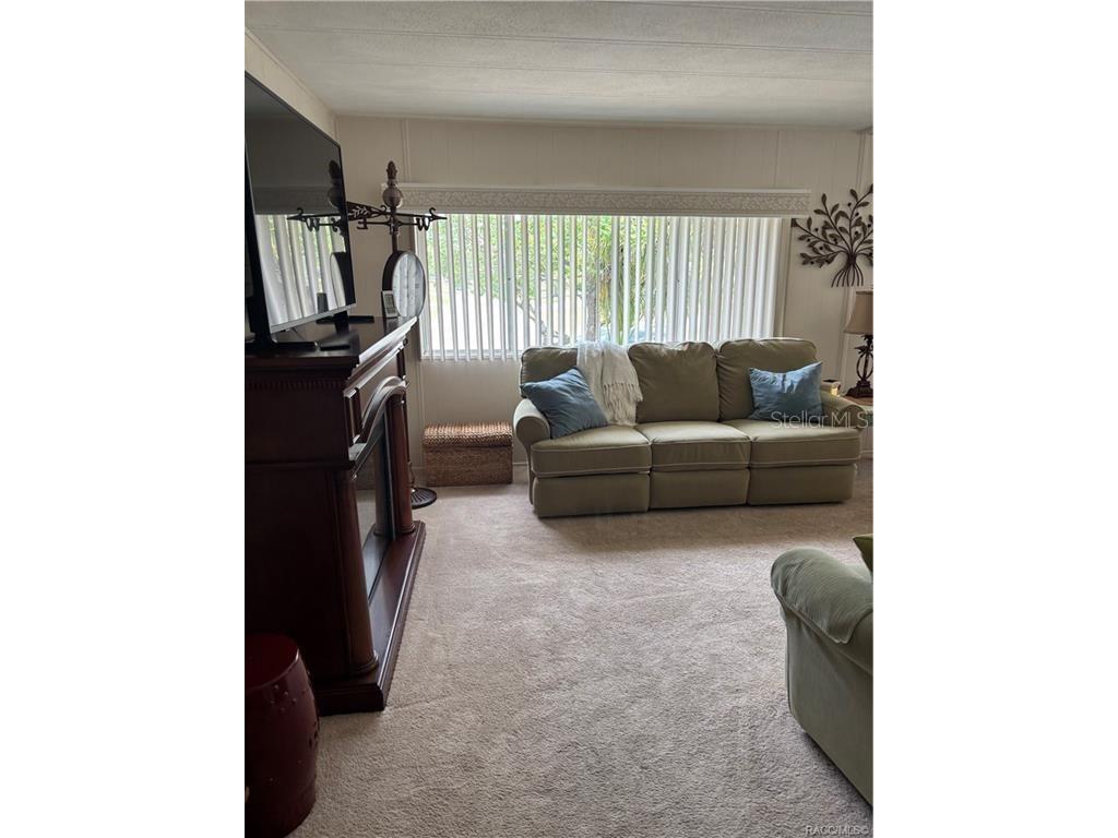 14334 Midfield Street Brooksville FL 34613 W7879909 image13