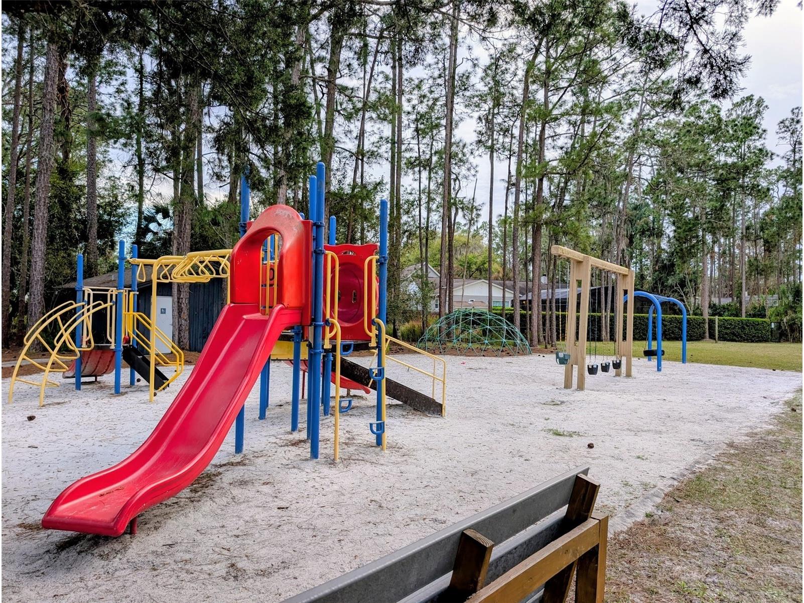 14335 Fresno Drive Orlando FL 32832 O6387237 image35