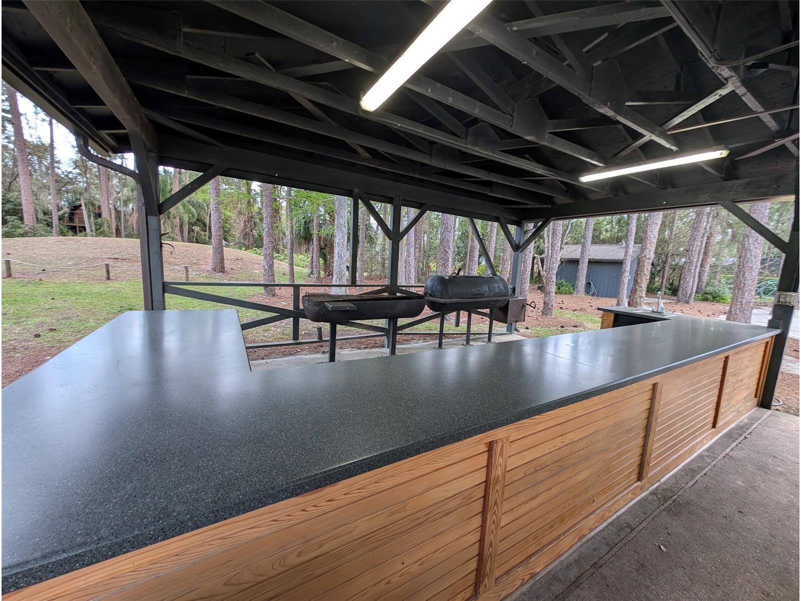 14335 Fresno Drive Orlando FL 32832 O6387237 image38