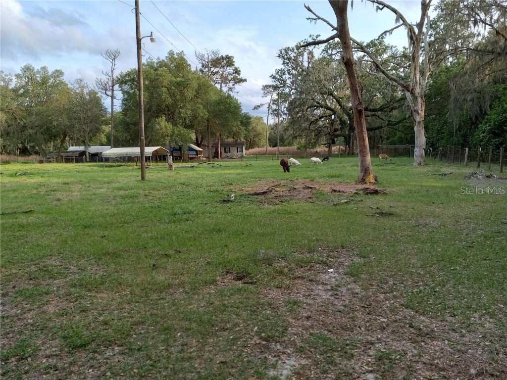 14335 Starbright Drive Dade City FL 33525 J961339 image1