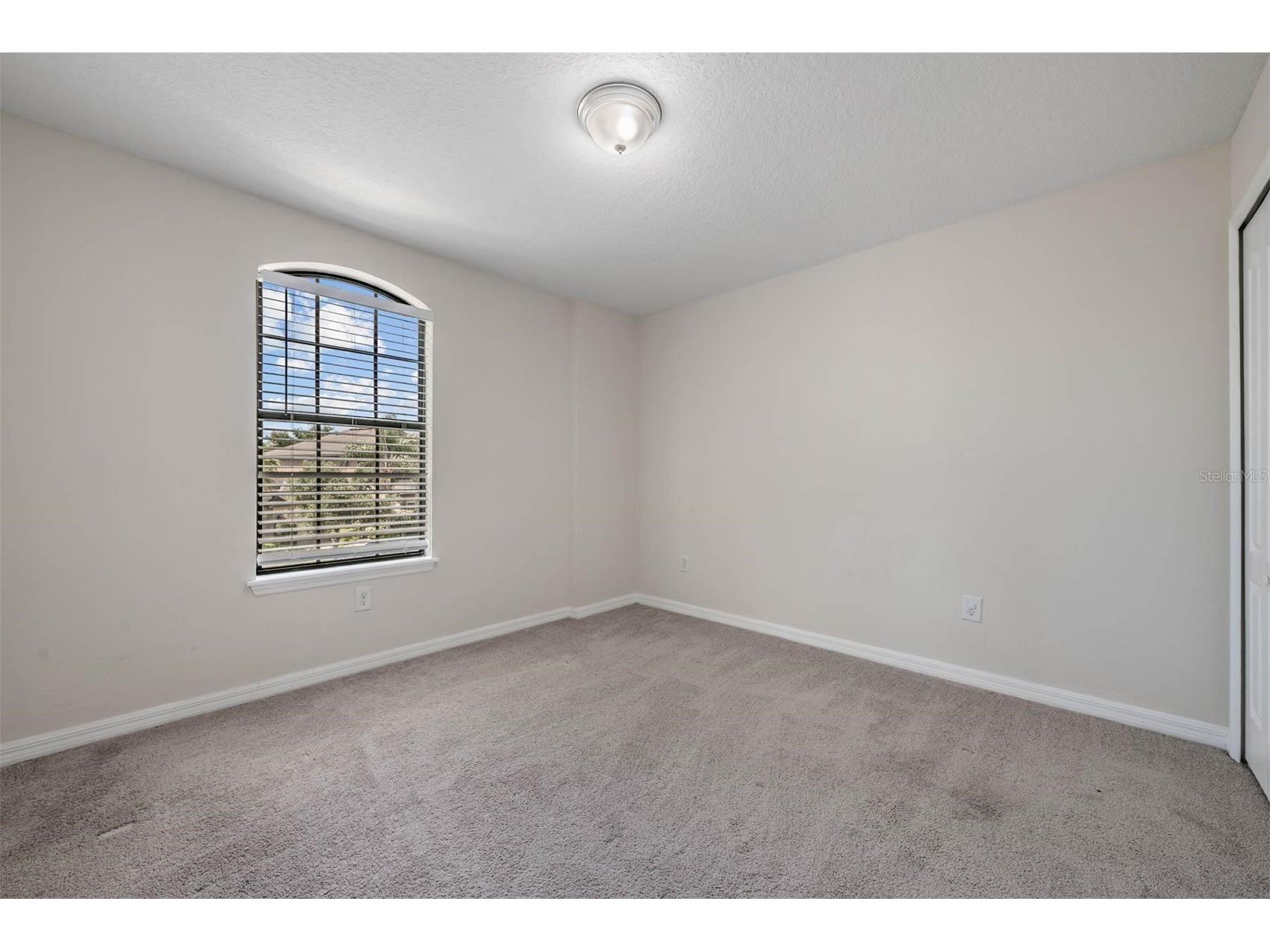 14336 Haddon Mist Drive Wimauma FL 33598 TB8503373 image29