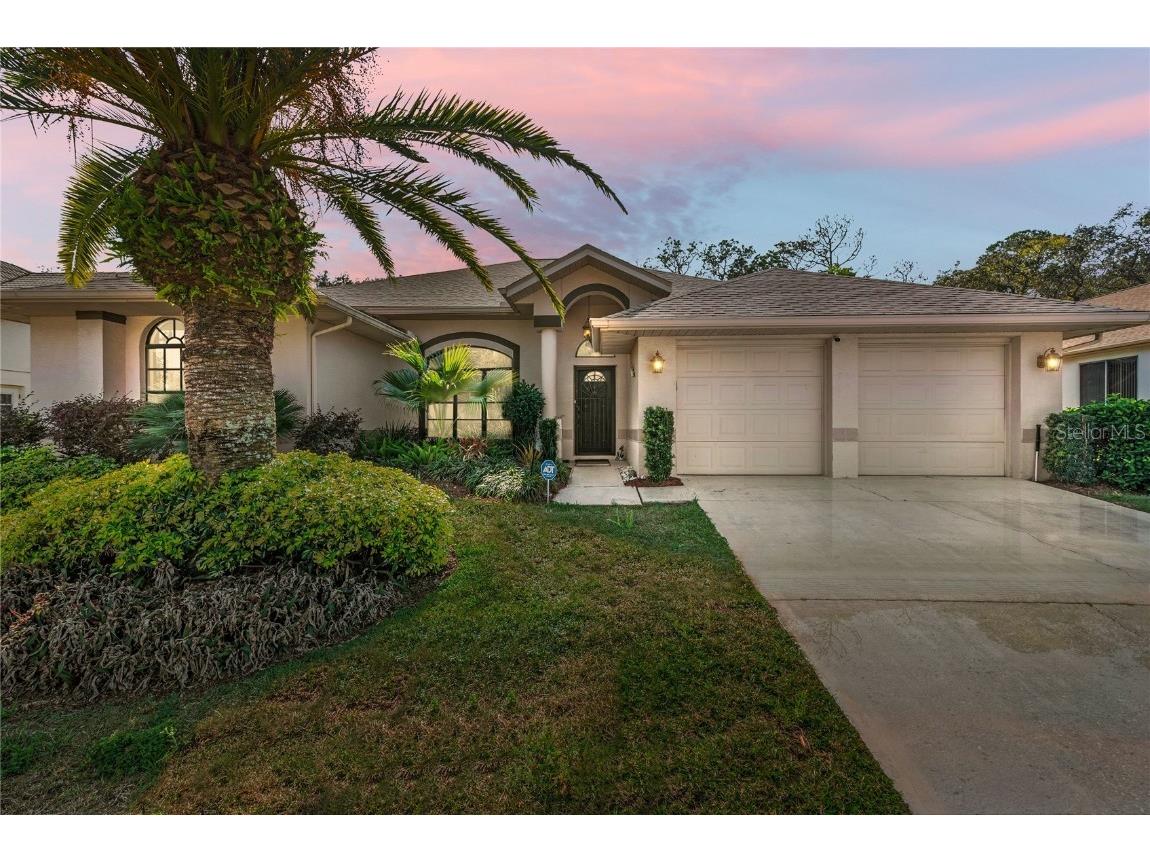 14337 Pimberton Drive Hudson FL 34667 T3429443 image1