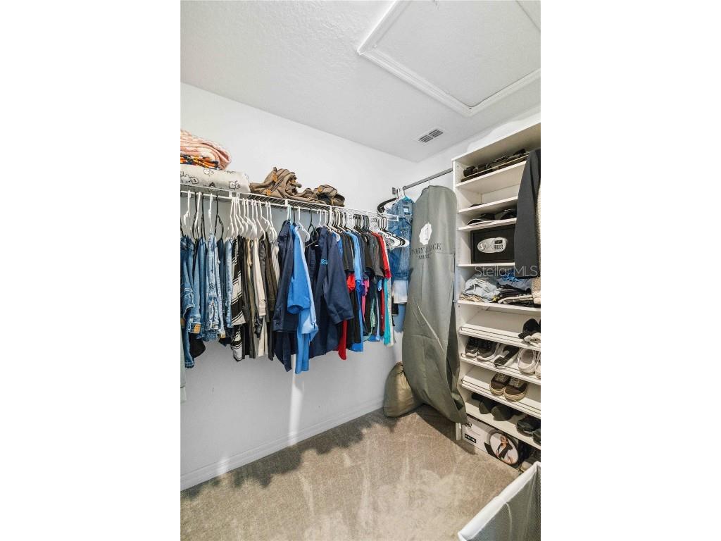 14339 Easy Goer Street Ruskin FL 33573 A4658735 image47