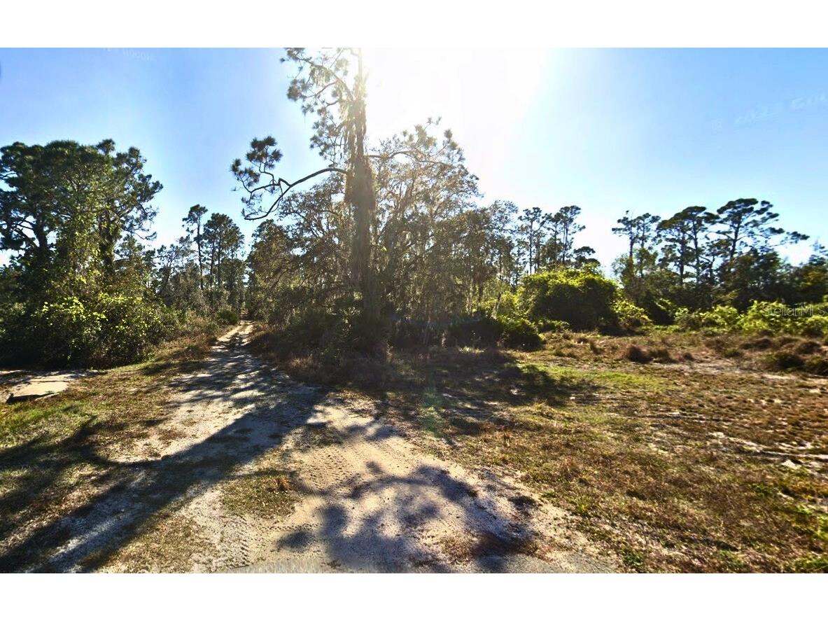 1434 Rutledge Avenue Lake Placid FL 33852 O6197122 image1