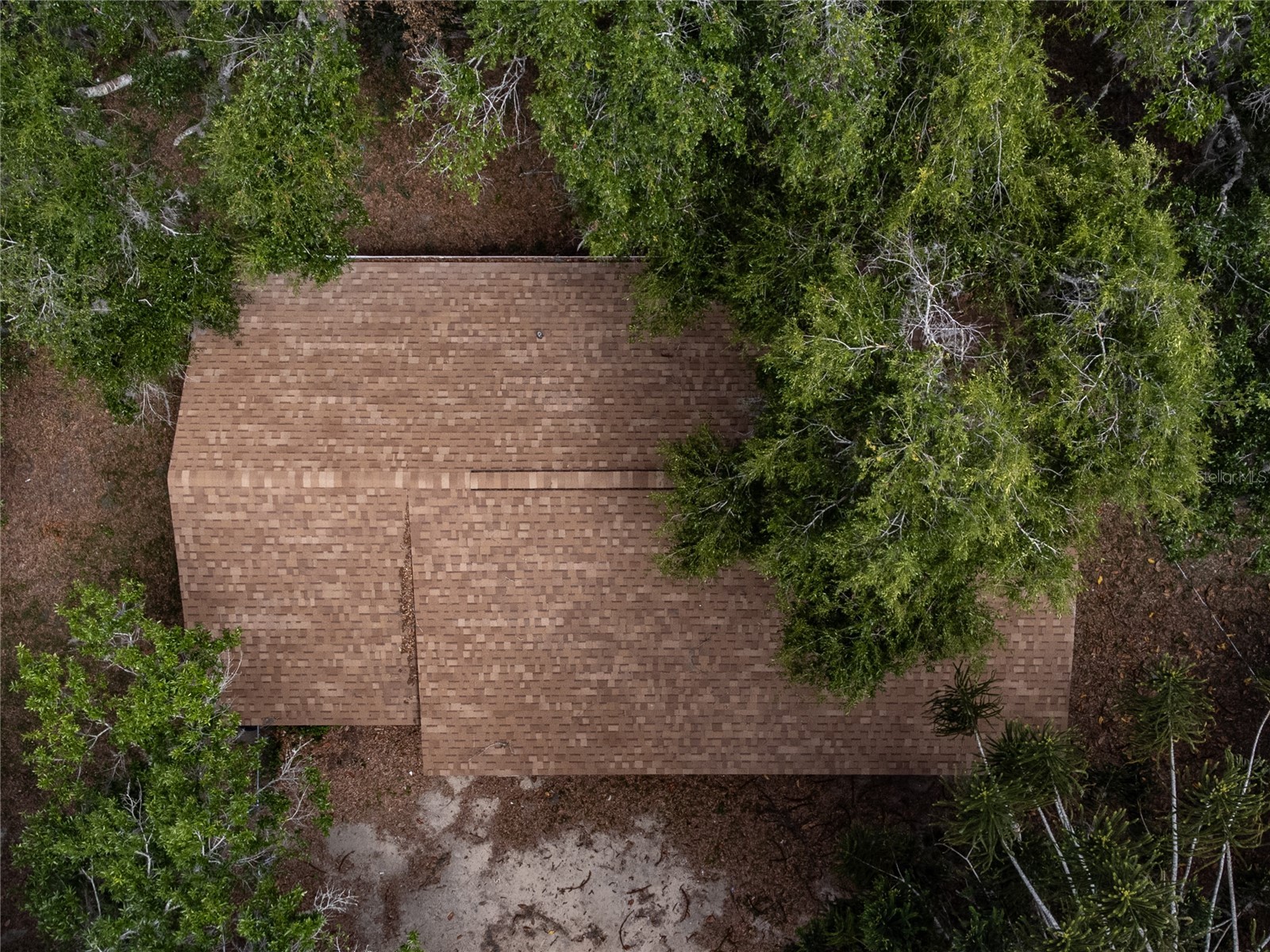 14341 Delmar Street Dade City FL 33525 TB8501245 image30