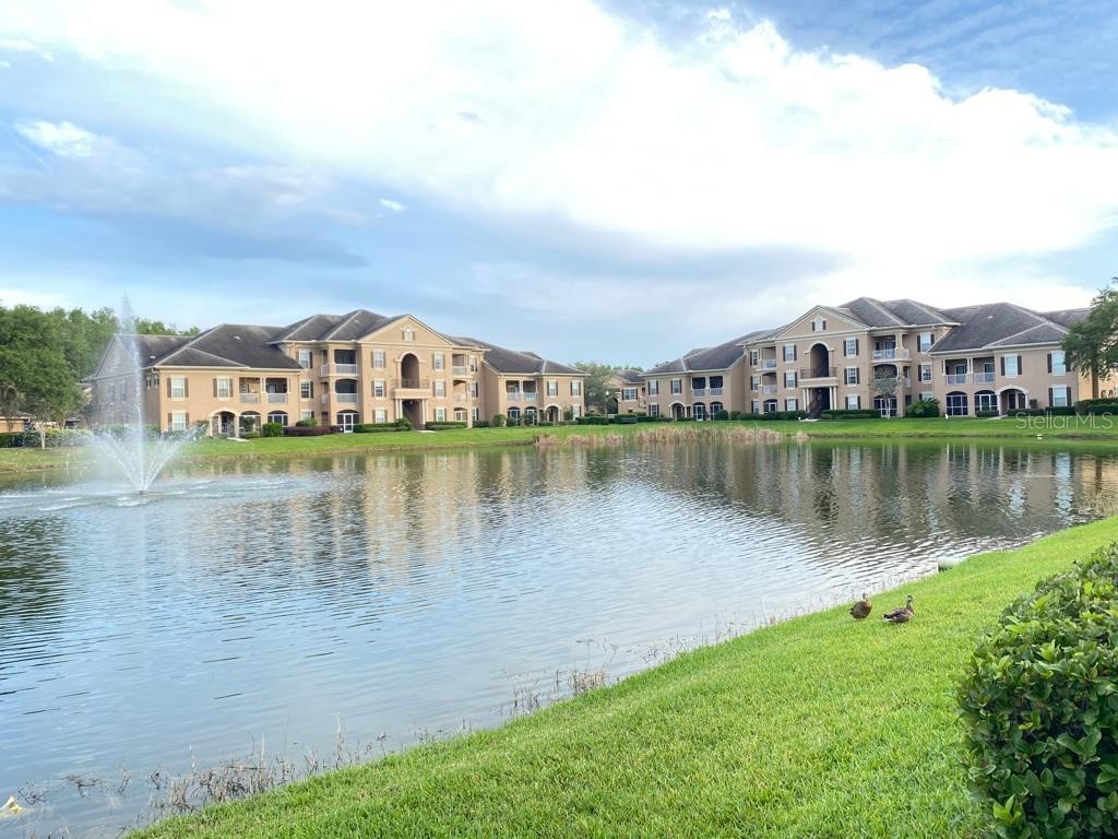 14341 Fredricksburg Drive #1007 Orlando FL 32837 O6116234 image1