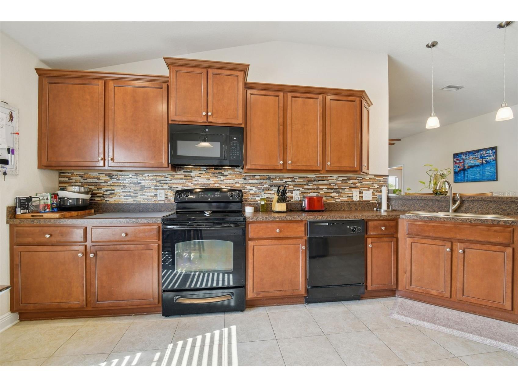 14342 Edinburgh Moor Drive Wimauma FL 33598 TB8462790 image20
