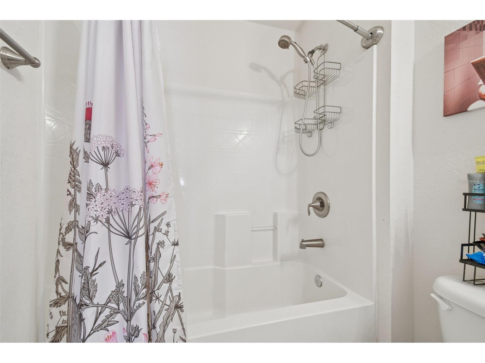 14342 Edinburgh Moor Drive Wimauma FL 33598 TB8462790 image36