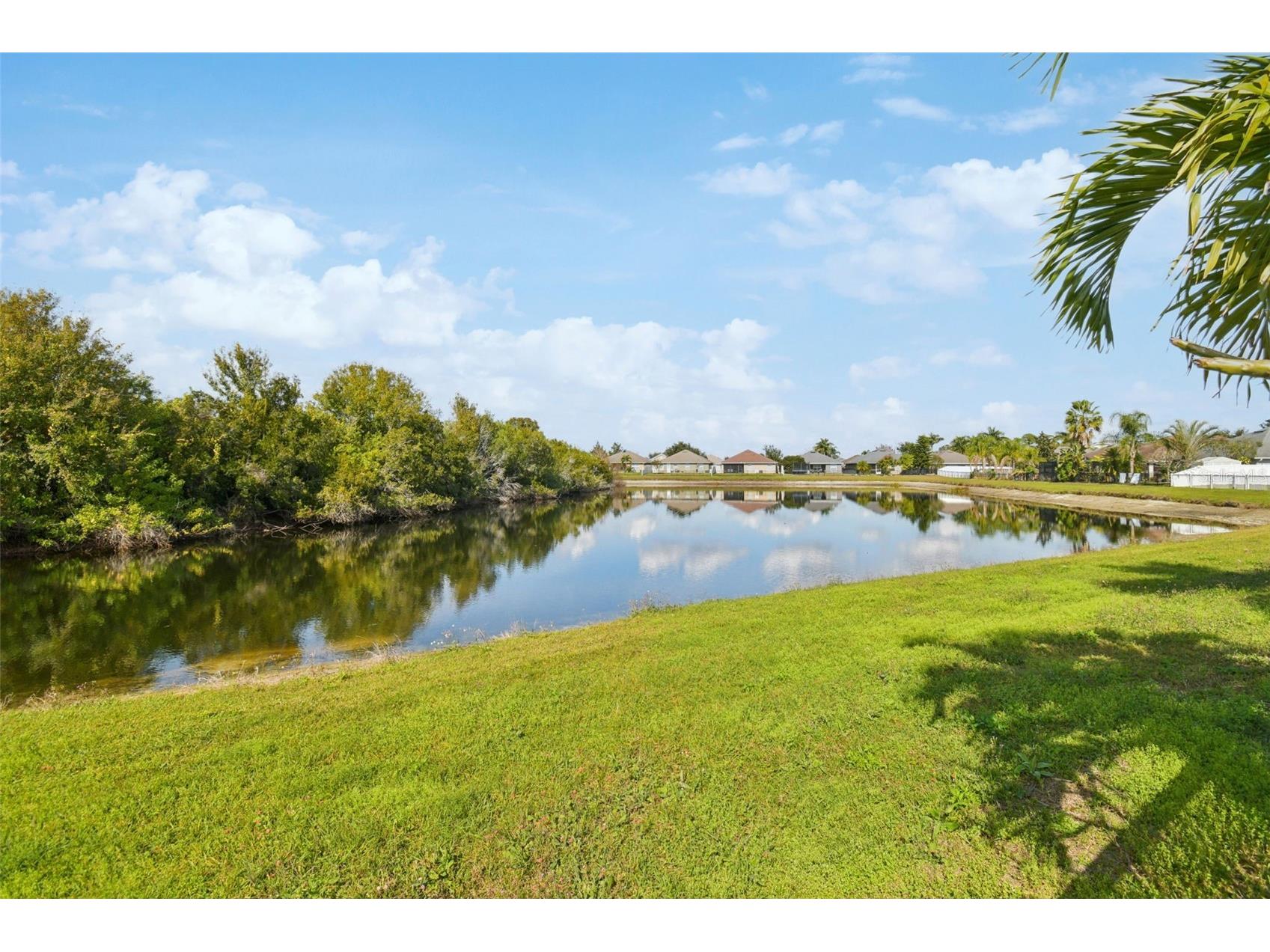 14342 Edinburgh Moor Drive Wimauma FL 33598 TB8462790 image45