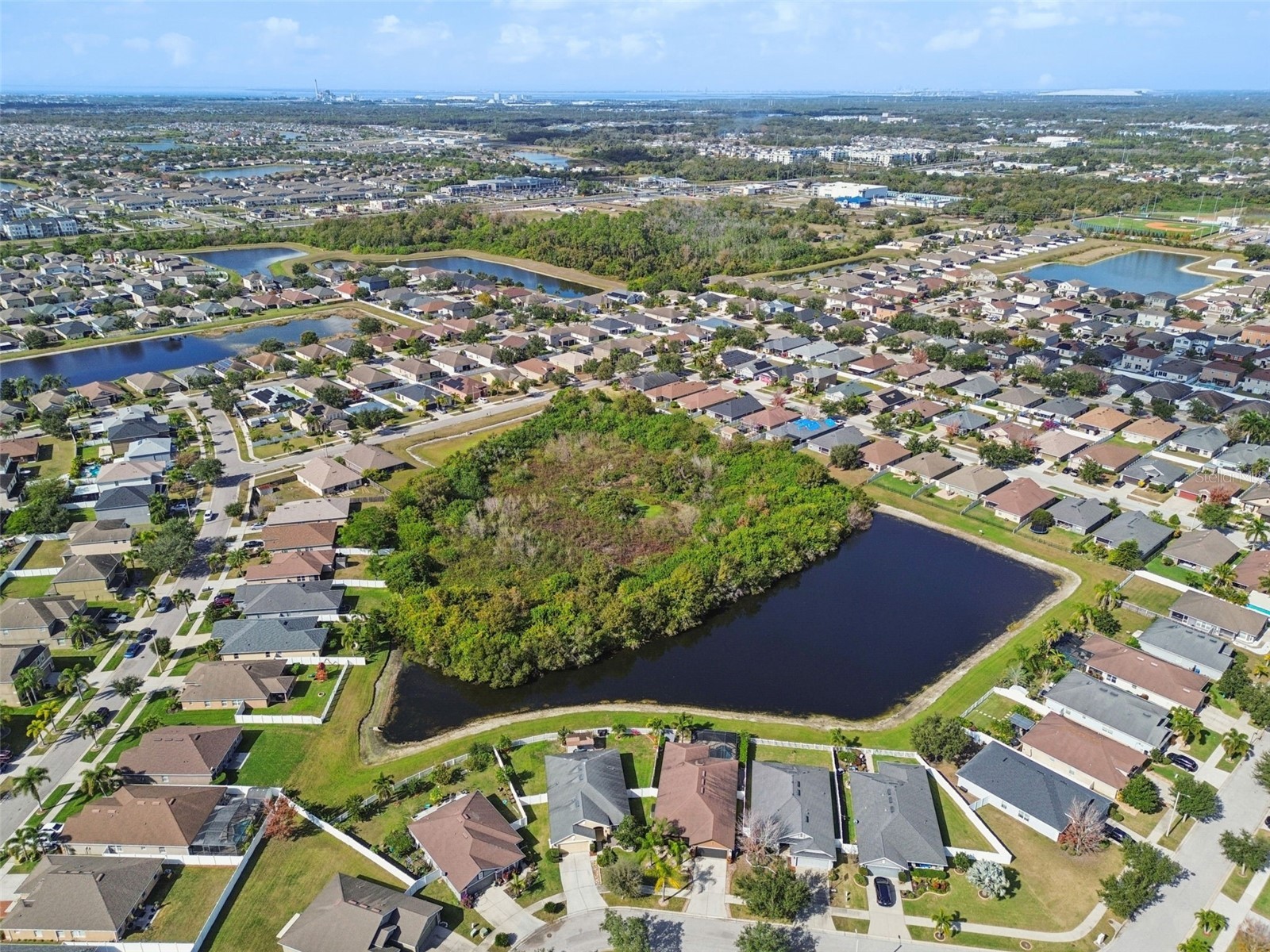 14342 Edinburgh Moor Drive Wimauma FL 33598 TB8462790 image76