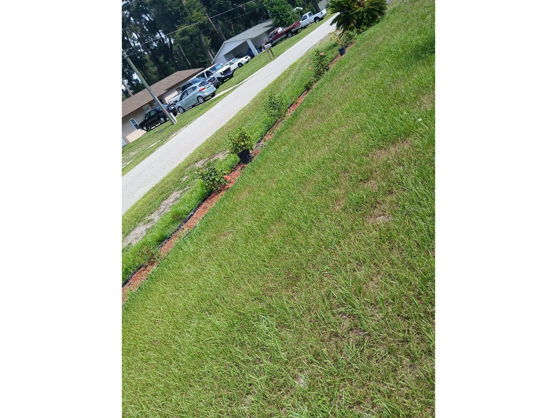 14342 SE 45th Court Summerfield FL 34491 P4937617 image22