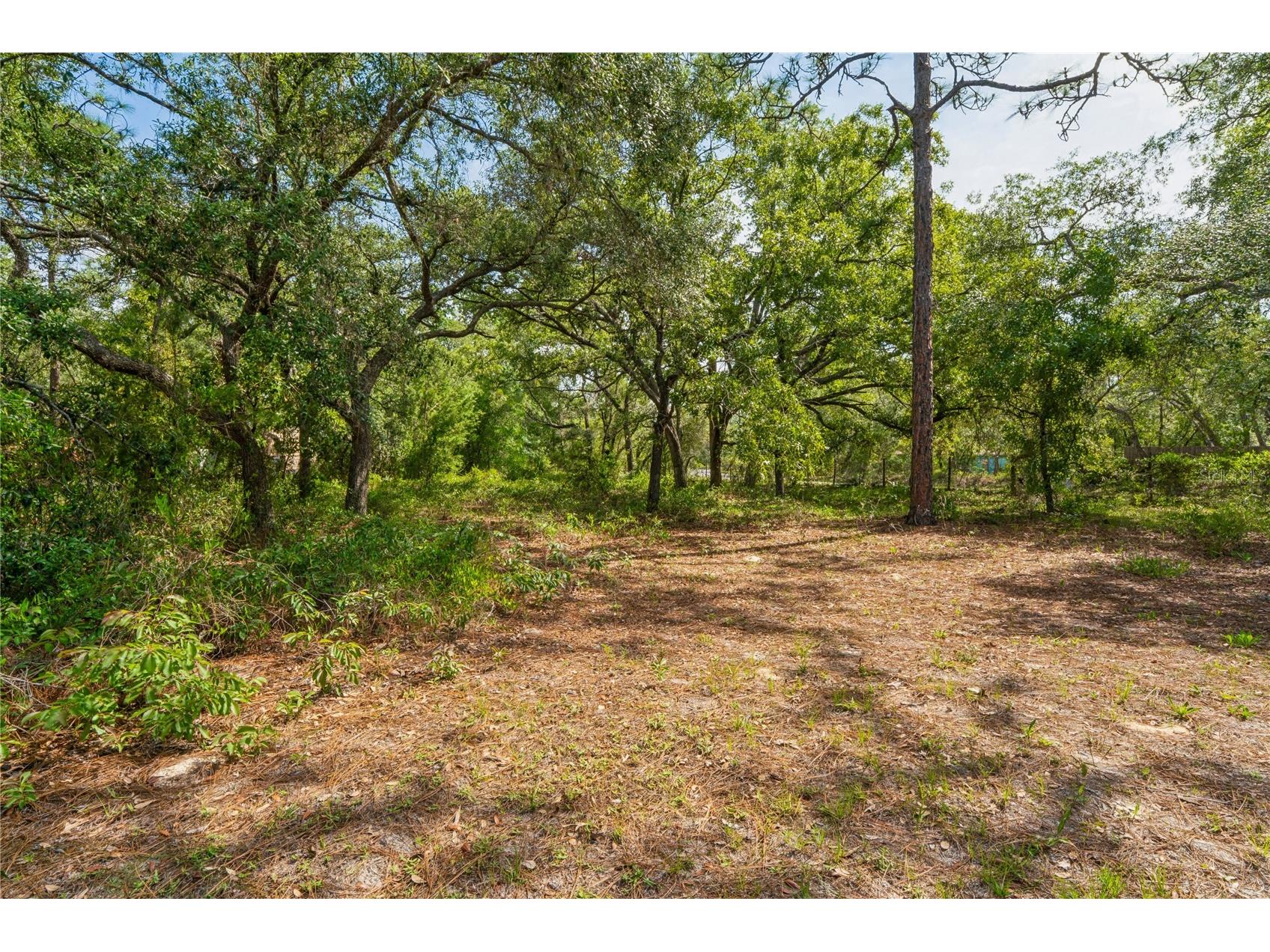 14345 Missouri Skylark Road Weeki Wachee FL 34614 W7885462 image33