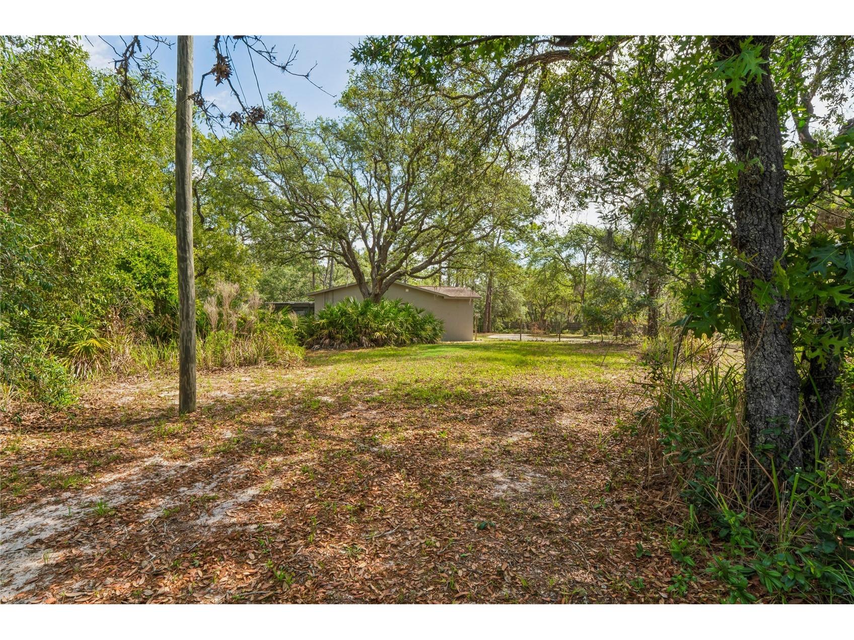 14345 Missouri Skylark Road Weeki Wachee FL 34614 W7885462 image38