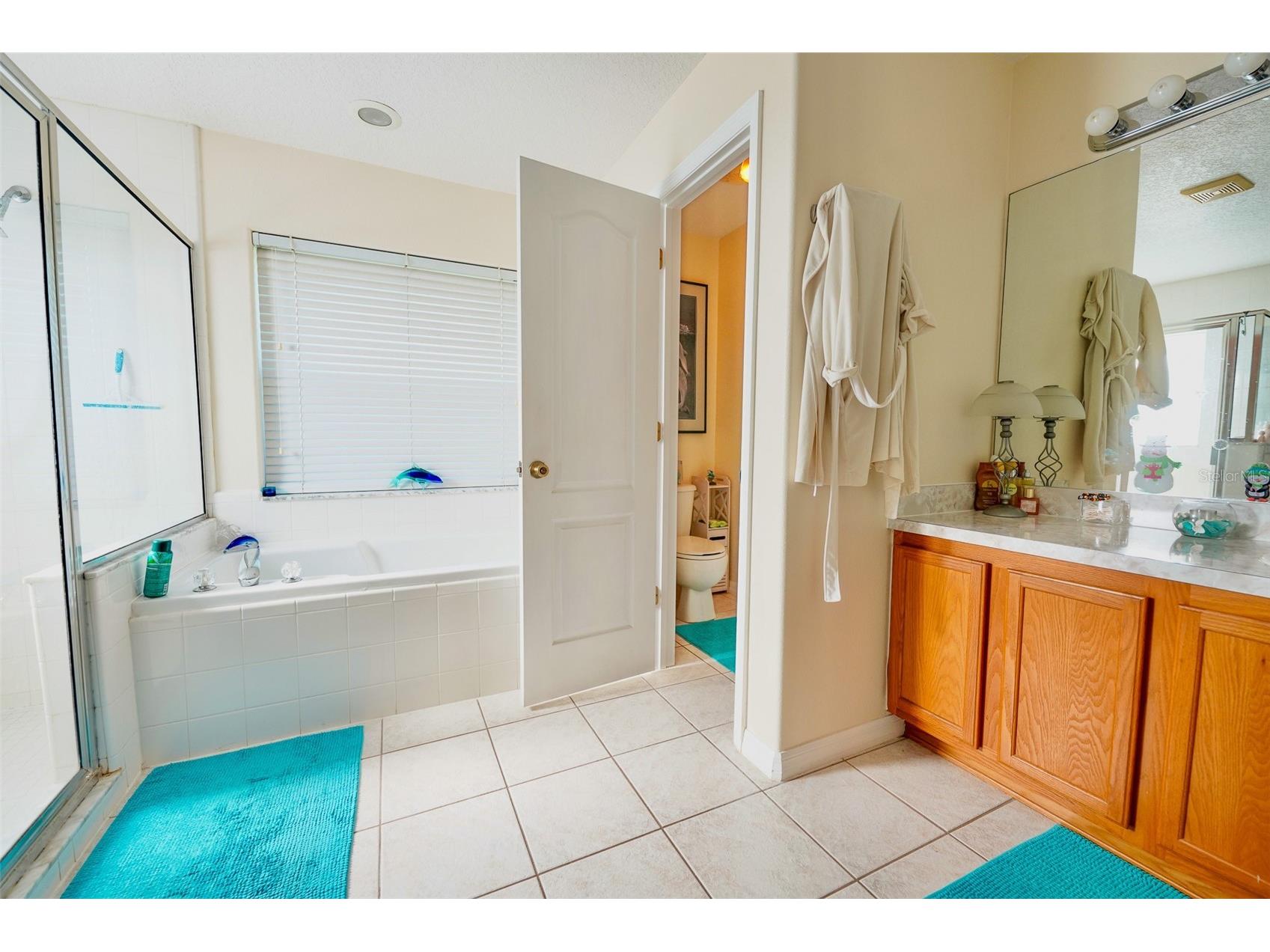 14345 Sanhatchee Street Clermont FL 34711 TB8463675 image25