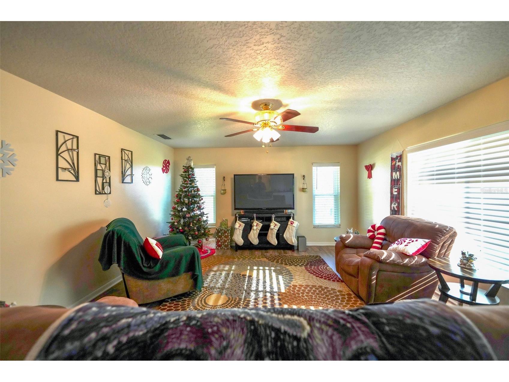14345 Sanhatchee Street Clermont FL 34711 TB8463675 image27