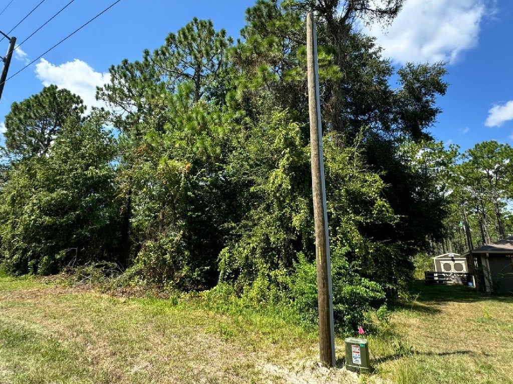 14346 SW 79th Terrace Ocala FL 34473 S5121721 image1