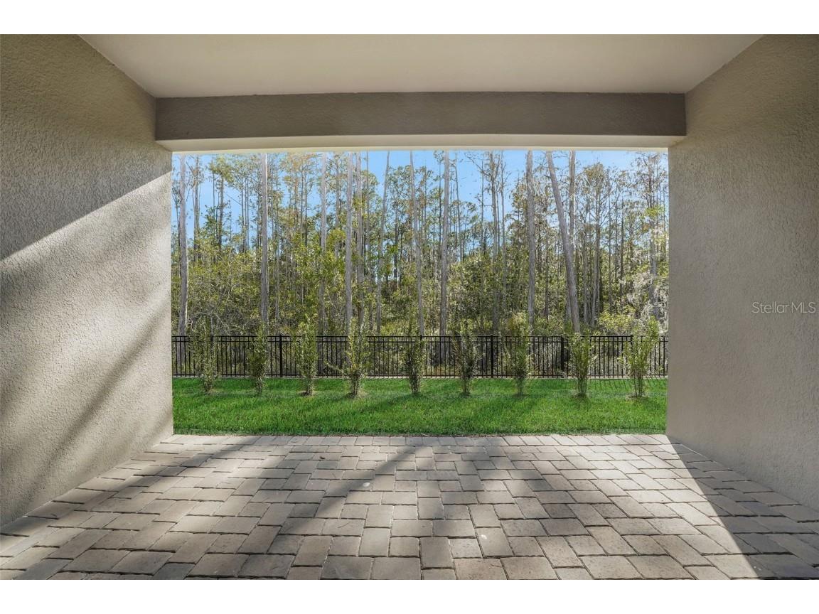 14347 Crest Palm Avenue Windermere FL 34786 G5094526 image7