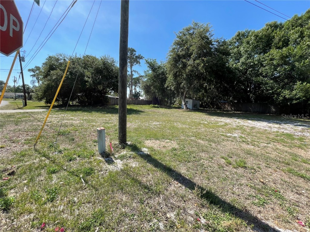 14347 Lake Junietta Drive Tavares FL 32778 S5100240 image1