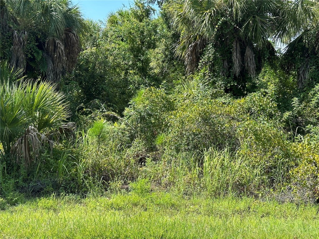 14347 Pittenger Avenue Port Charlotte FL 33953 - ROTHCHILD WATERWAY C7496986 image1