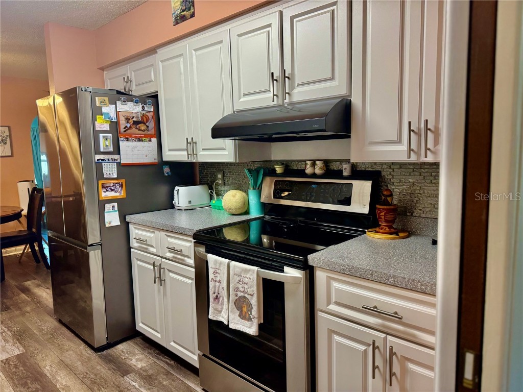 1435 Country Ridge Drive Lakeland FL 33801 L4957503 image8