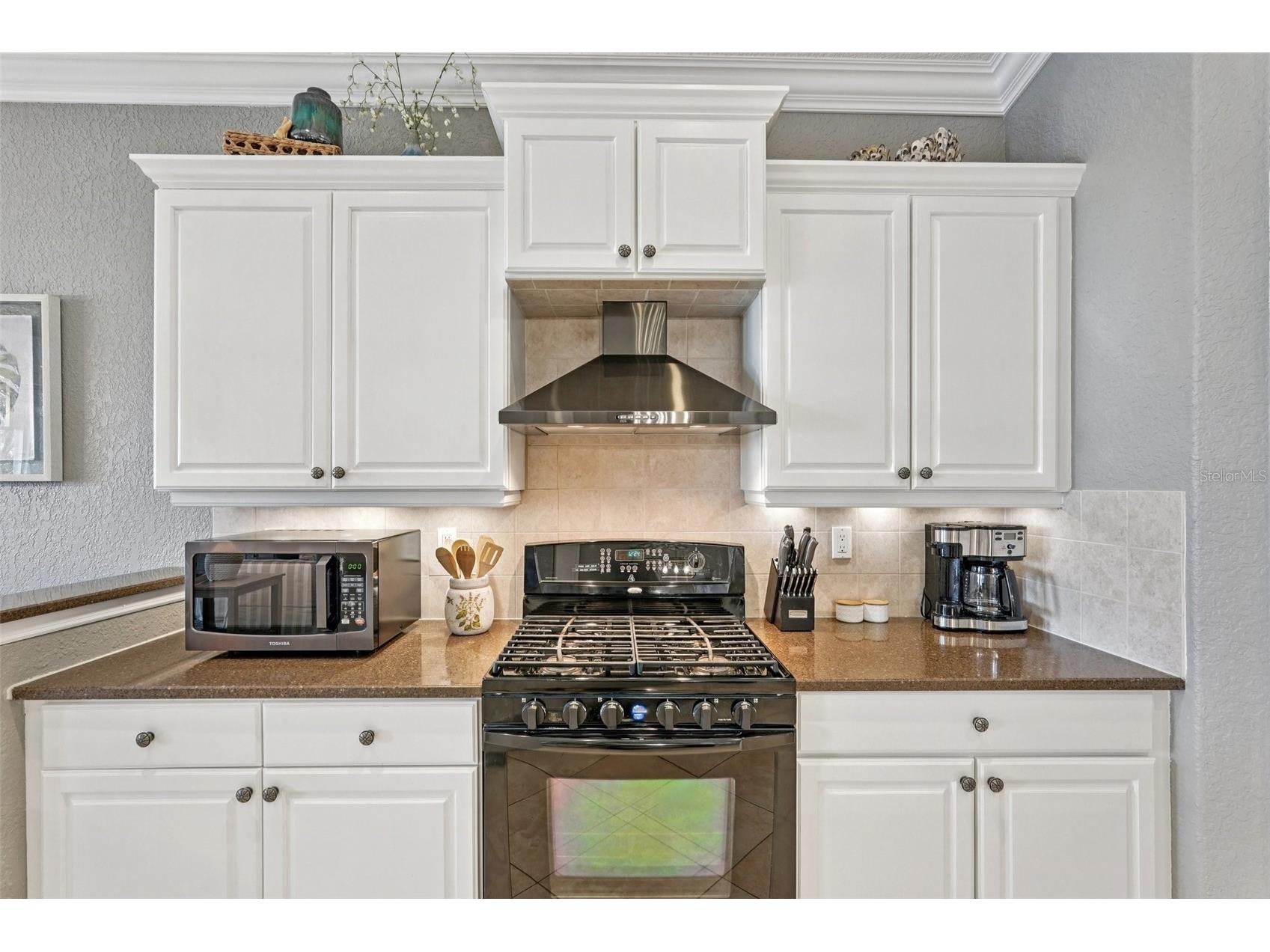 1435 Emerald Dunes Drive Sun City Center FL 33573 TB8485696 image12