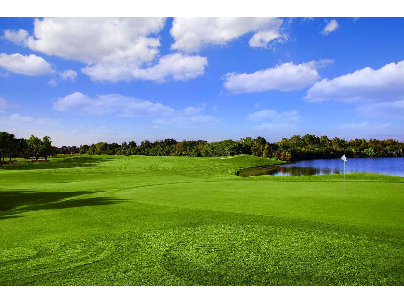 1435 Emerald Dunes Drive Sun City Center FL 33573 TB8485696 image45