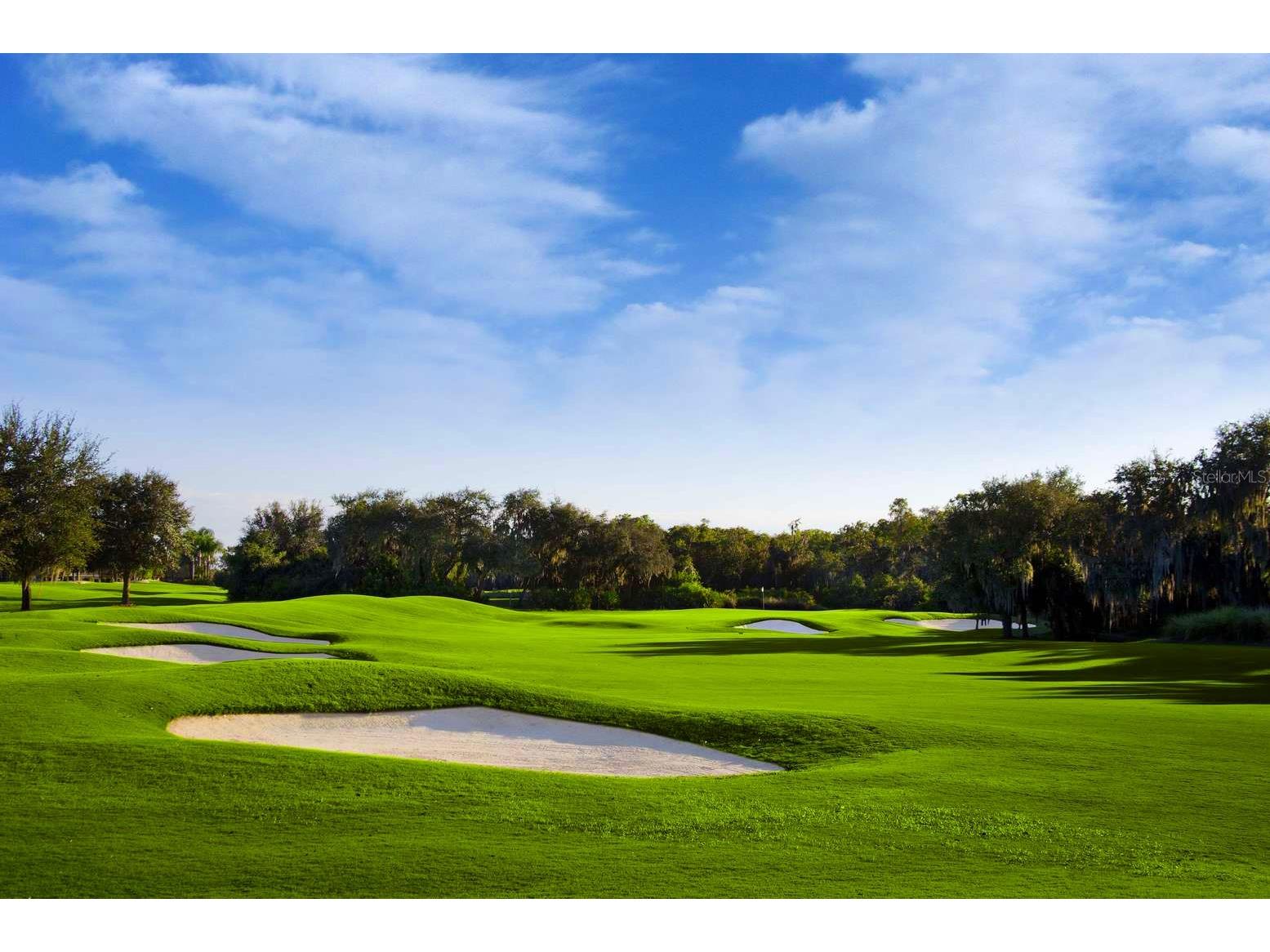 1435 Emerald Dunes Drive Sun City Center FL 33573 TB8485696 image46