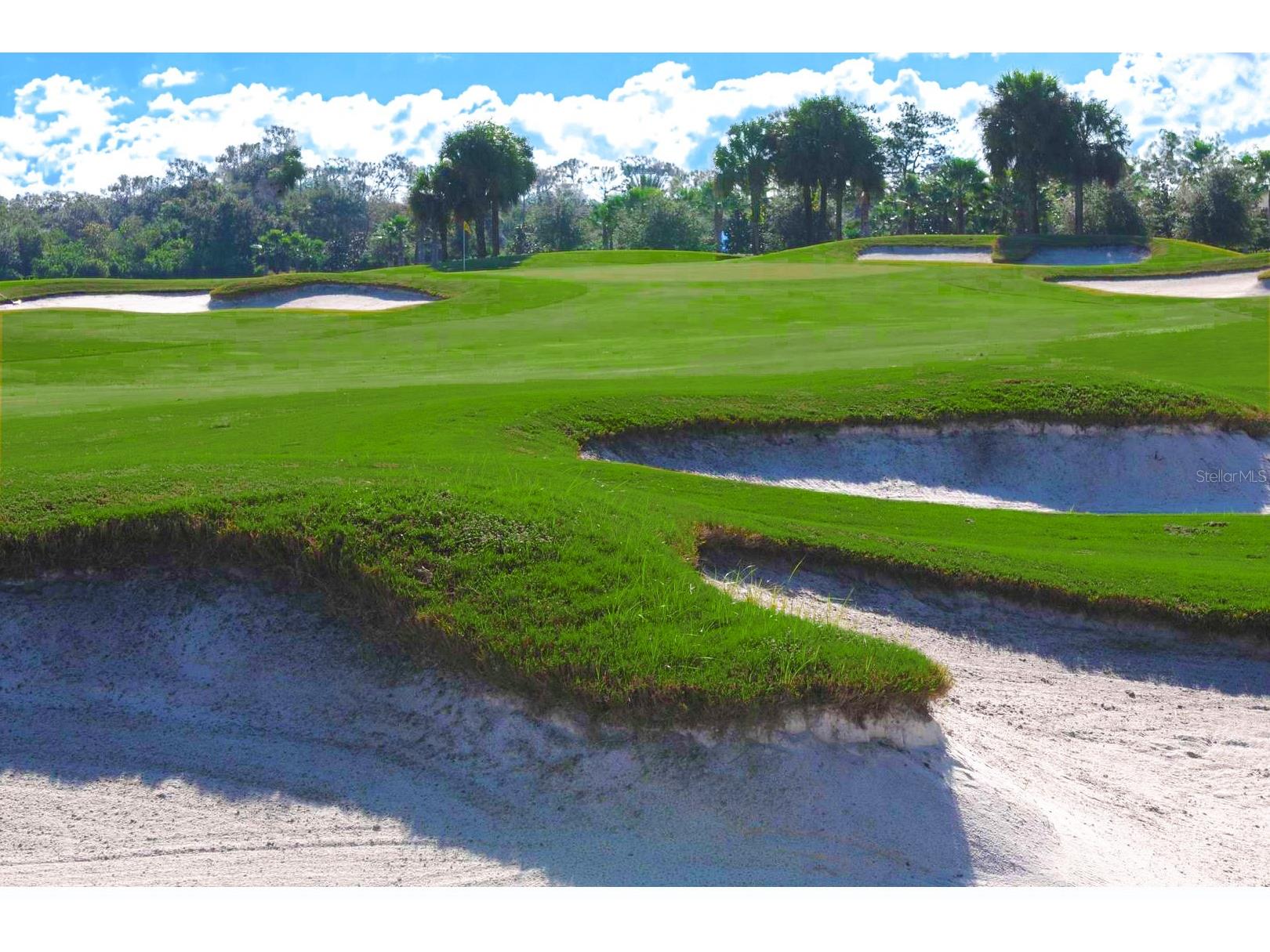 1435 Emerald Dunes Drive Sun City Center FL 33573 TB8485696 image47