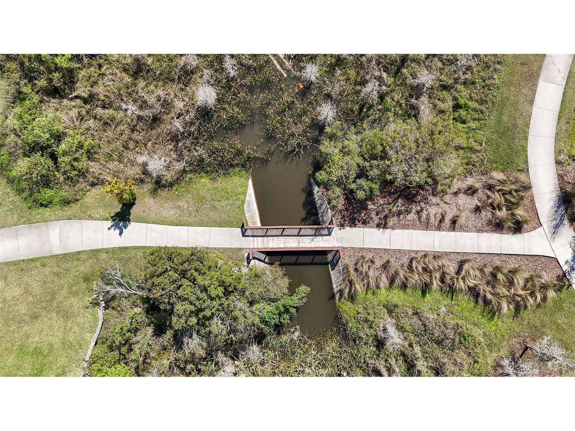 1435 Montgomery Bell Road Wesley Chapel FL 33543 TB8466270 image52