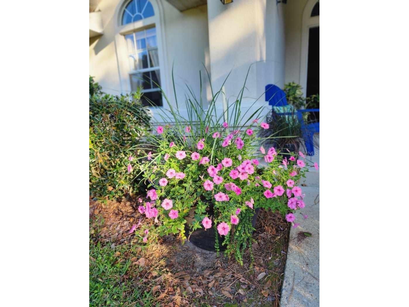 1435 NW 100th Terrace Gainesville FL 32606 GC537302 image32