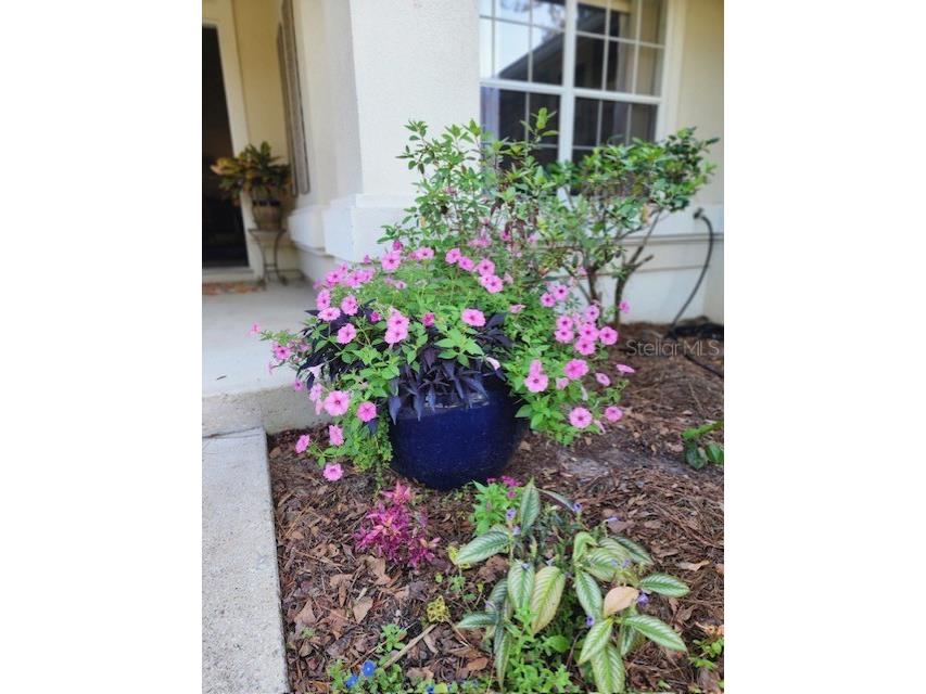 1435 NW 100th Terrace Gainesville FL 32606 GC537302 image7