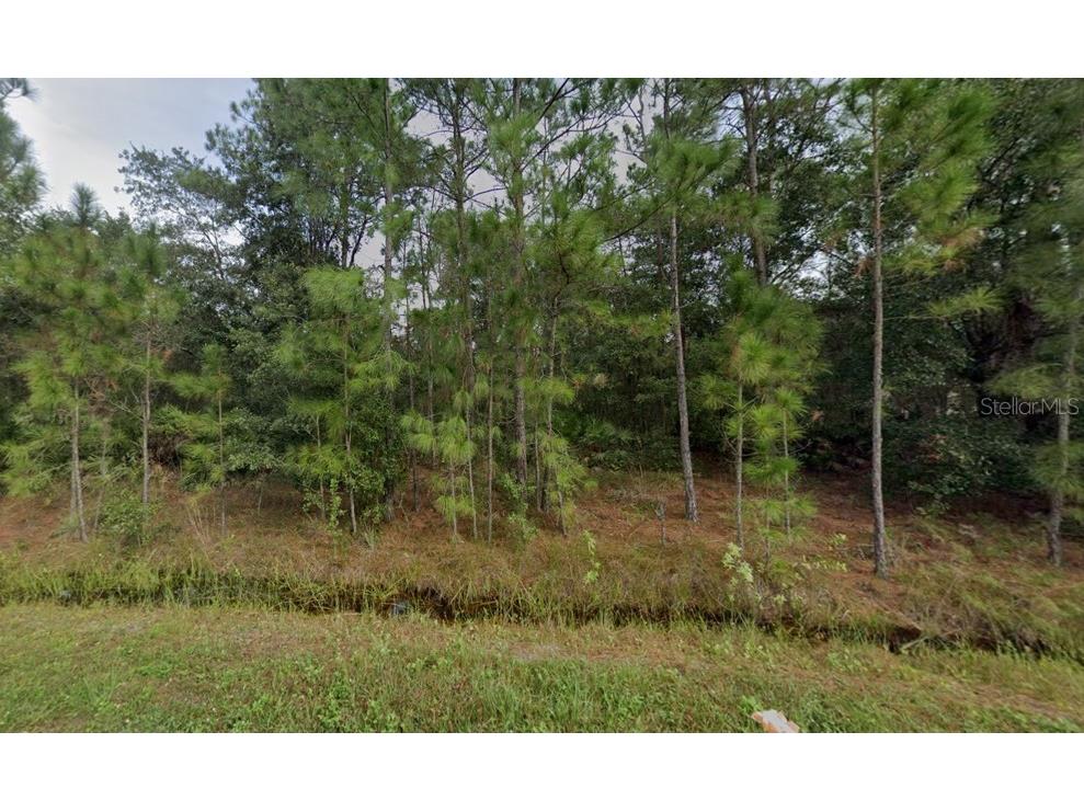 1435 Tern Court Kissimmee FL 34759 O6259894 image1