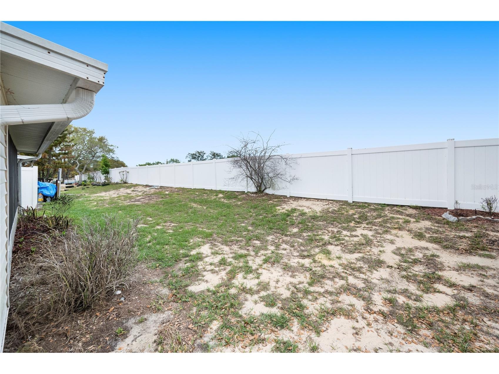 1435 Thousand Roses Drive N Lake Wales FL 33853 P4938214 image4
