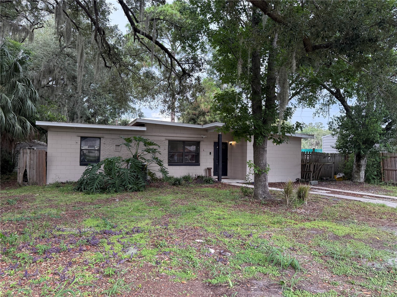 1435 Triangle Drive Mount Dora FL 32757 G5115076 image1
