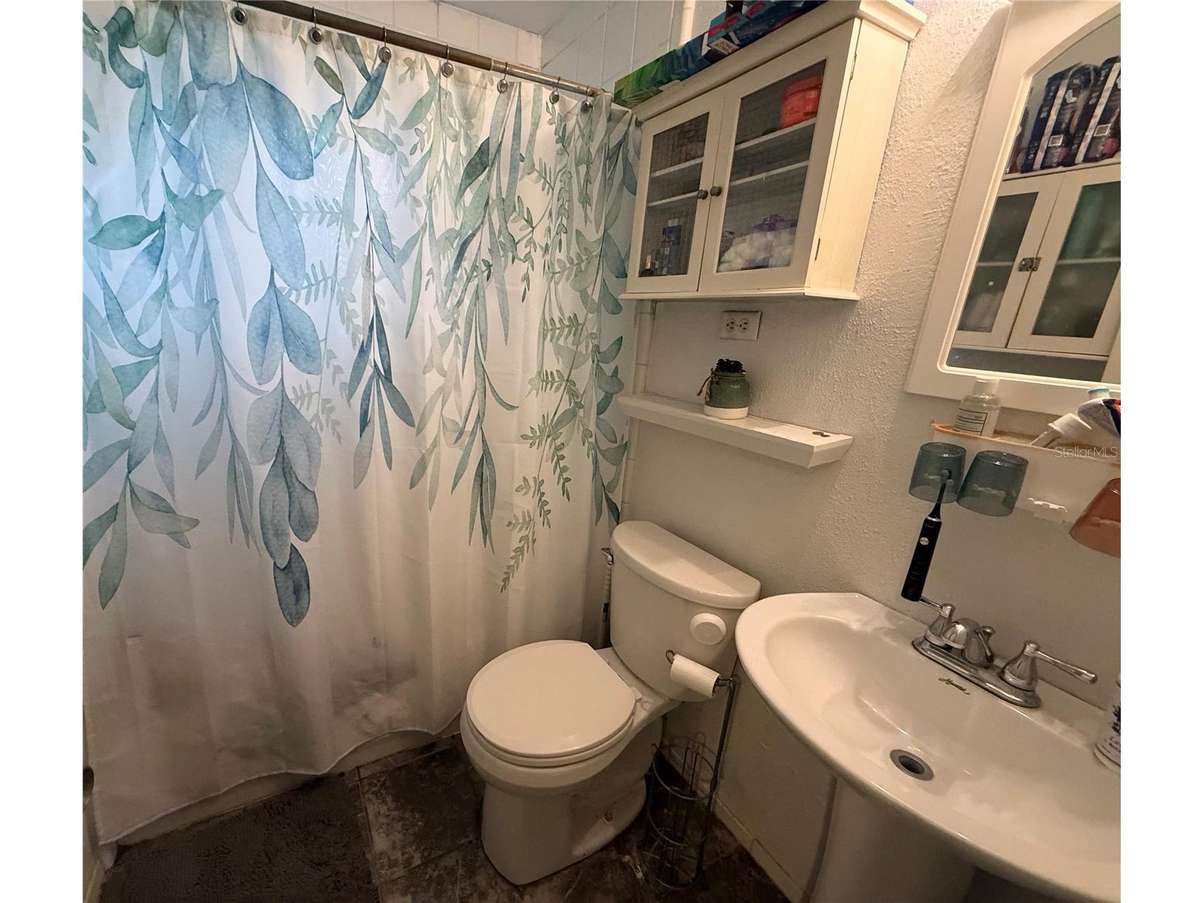 1435 Triangle Drive Mount Dora FL 32757 G5115076 image12