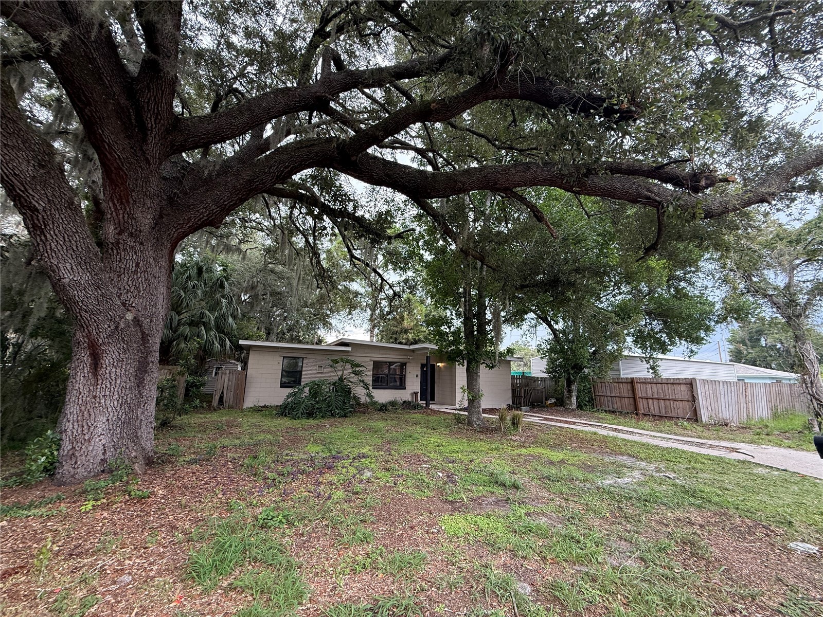 1435 Triangle Drive Mount Dora FL 32757 G5115076 image2