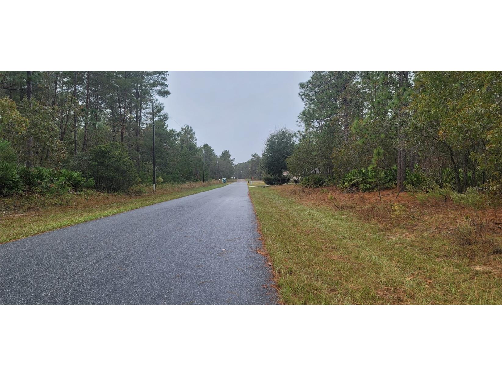 1435 W Landmark Drive Citrus Springs FL 34434 A4590790 image1